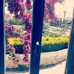 Hotel Radika 4*