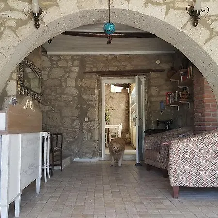 Radika Hotell 4*