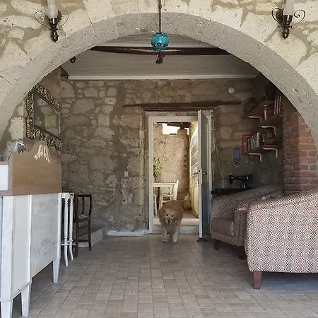 Radika