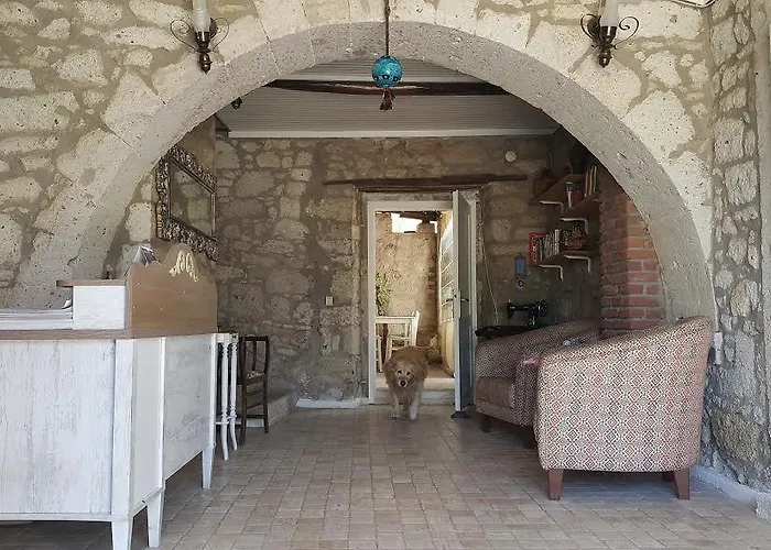 Radika Отель 4*