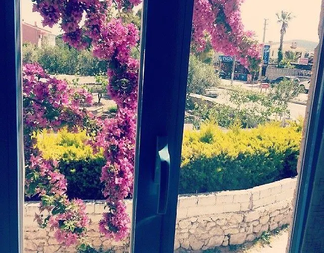 Отель Radika 4*