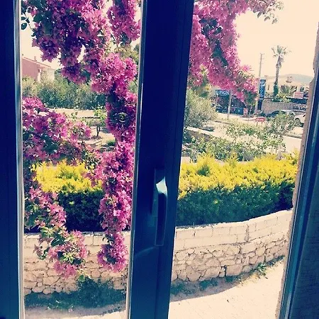 Hotell Radika 4*